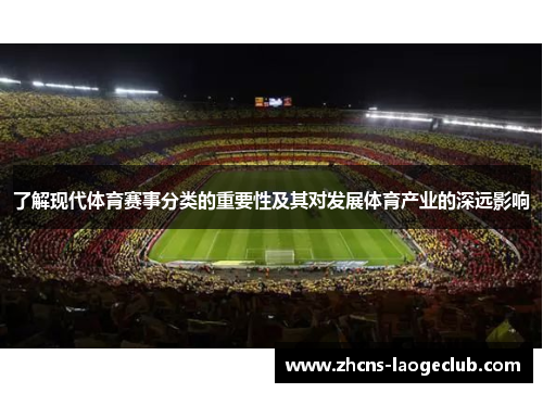 了解现代体育赛事分类的重要性及其对发展体育产业的深远影响