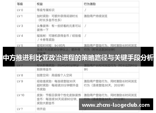 中方推进利比亚政治进程的策略路径与关键手段分析