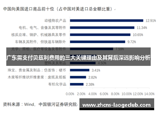 广东需支付贝兹利费用的三大关键理由及其背后深远影响分析