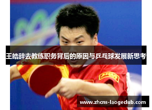 王皓辞去教练职务背后的原因与乒乓球发展新思考