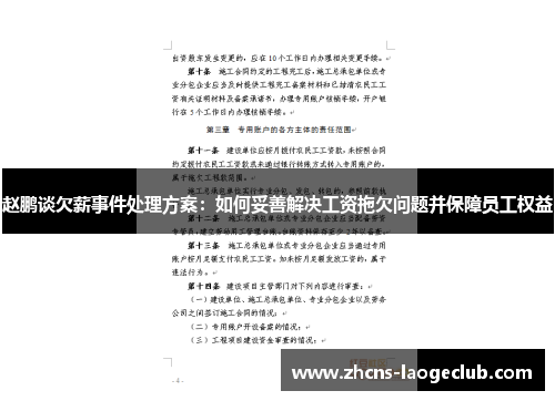 赵鹏谈欠薪事件处理方案：如何妥善解决工资拖欠问题并保障员工权益